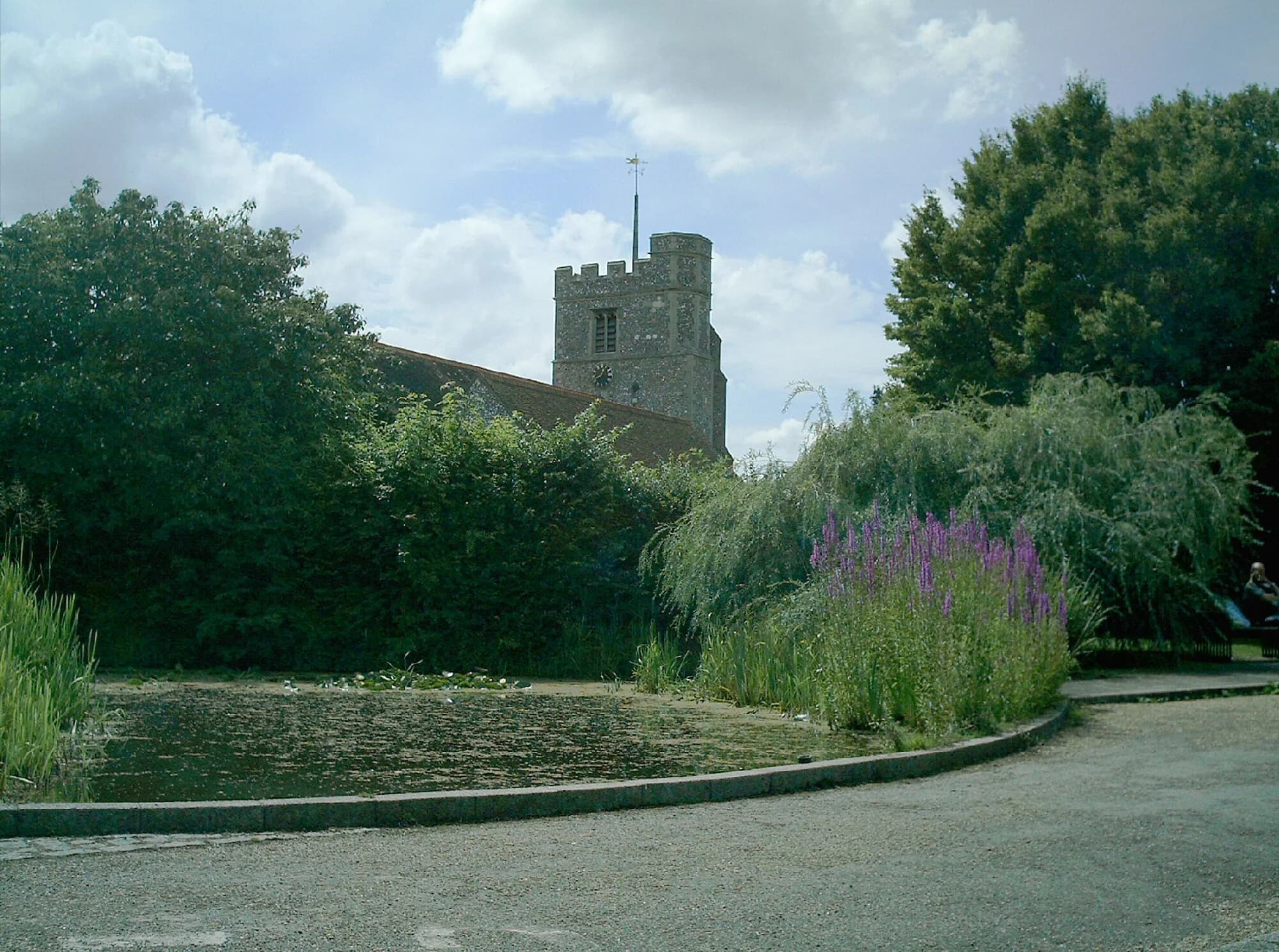 Vets in Bushey