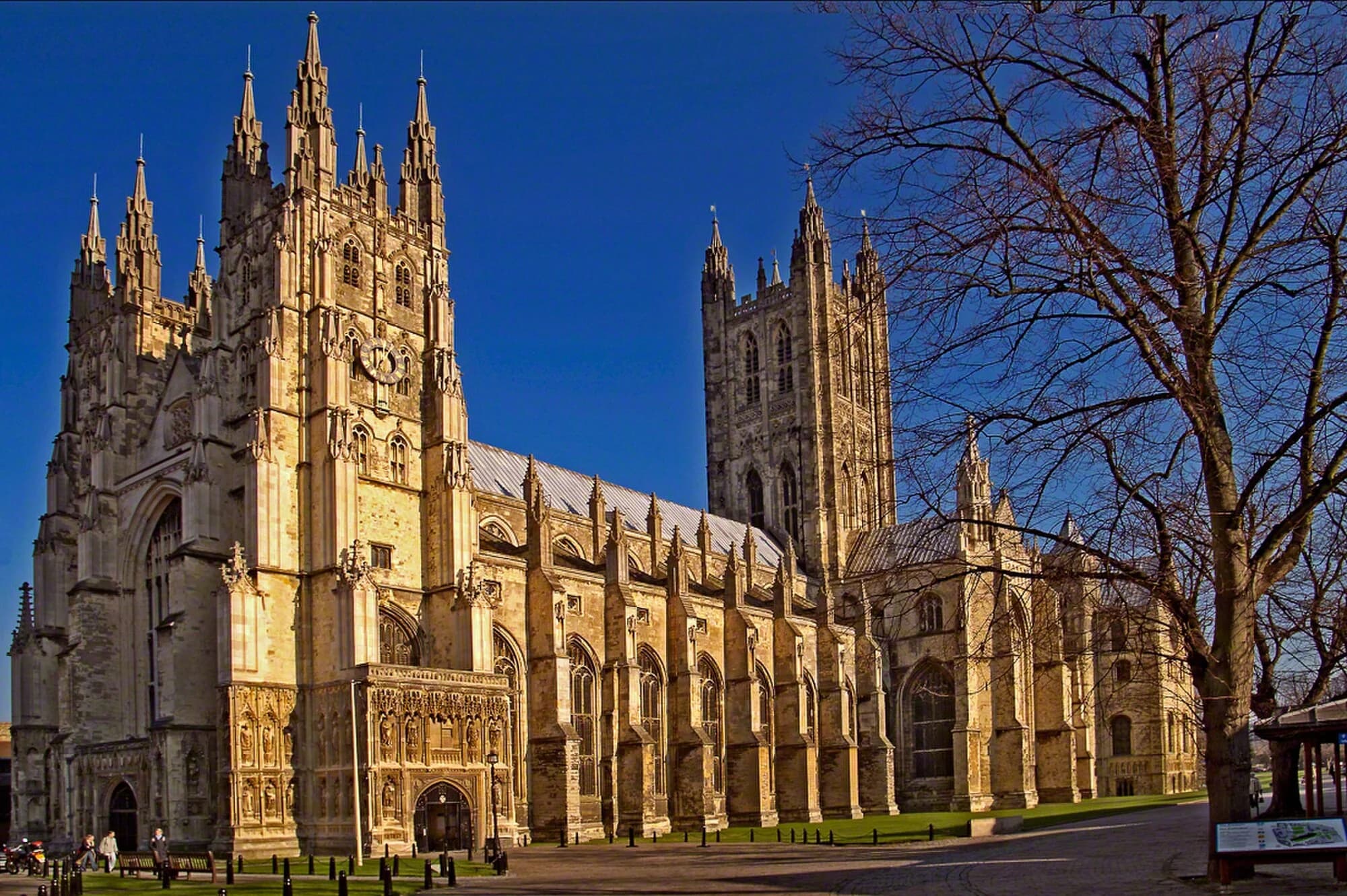 Vets in Canterbury
