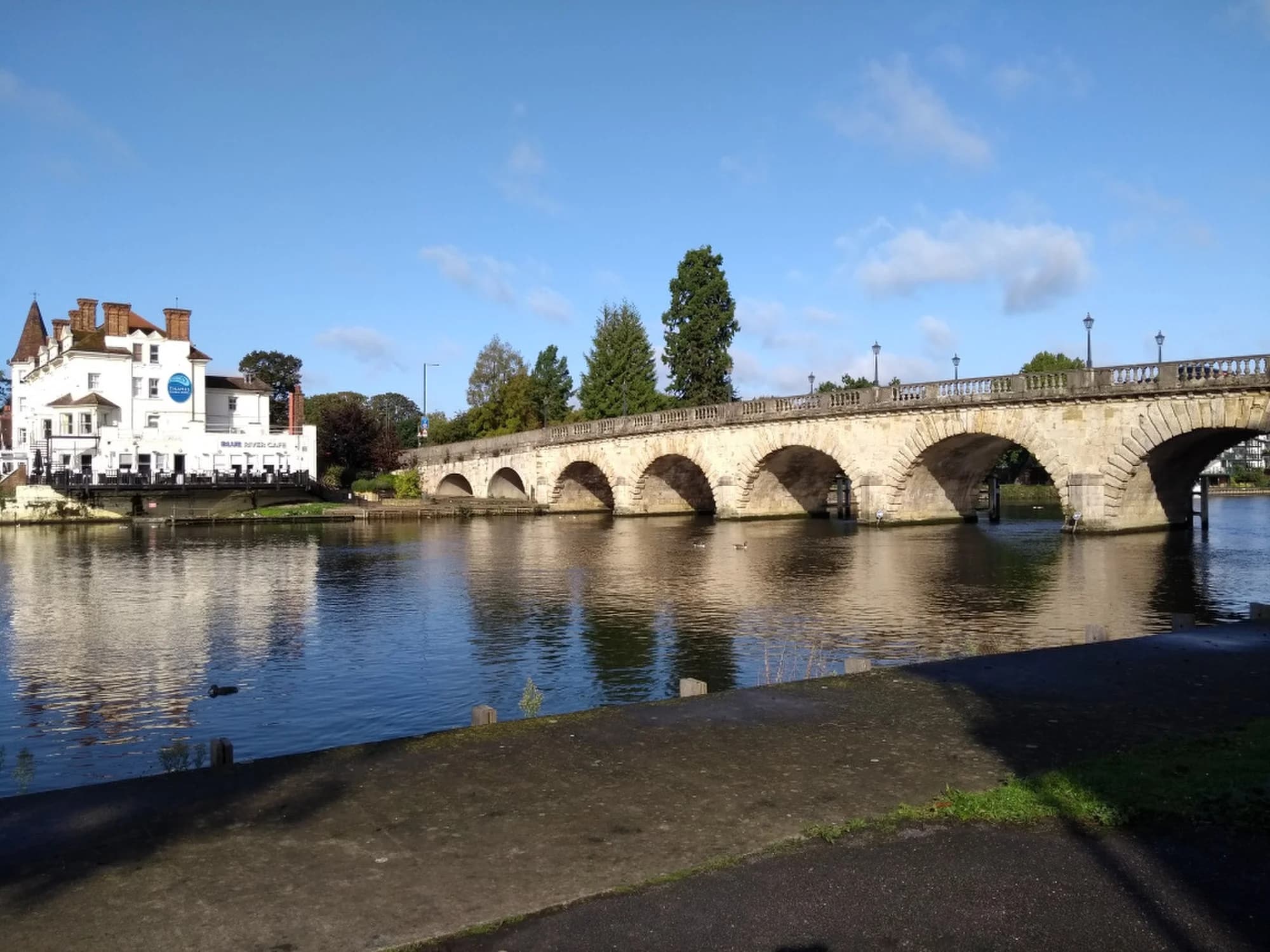 Vets in Maidenhead